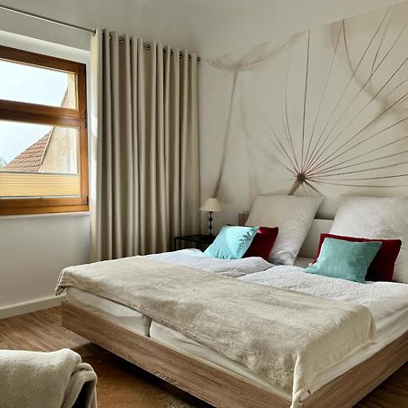 Apartment Im Elbtal Weinböhla Dış mekan fotoğraf